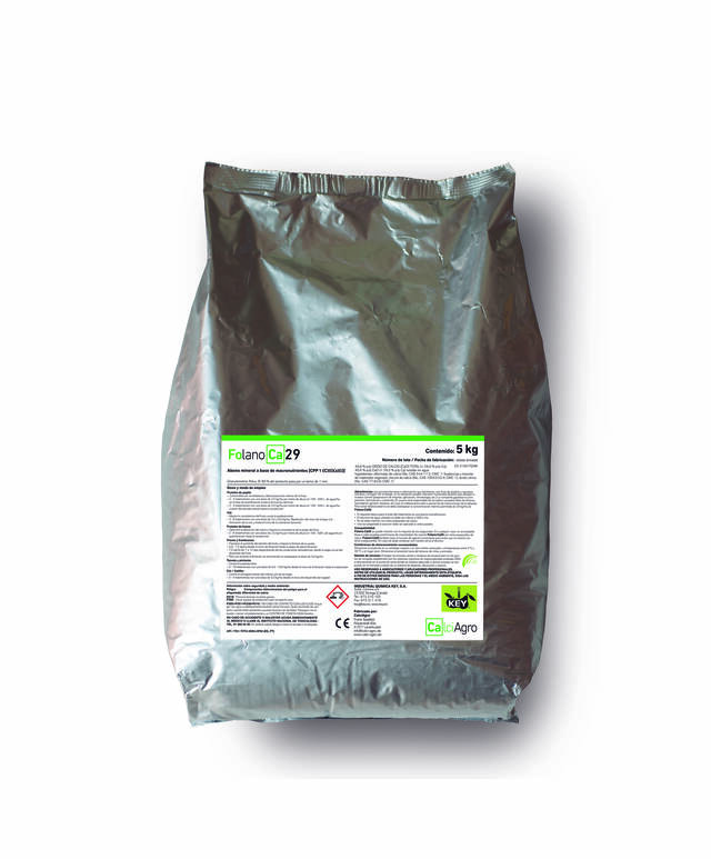 FOLANO Ca29