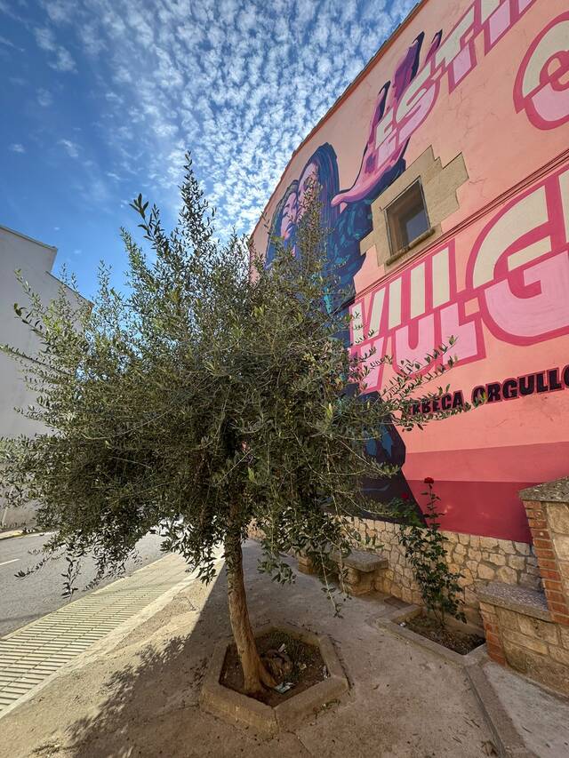 CONVOCATÒRIA PER A LA RECOLLIDA D’OLIVES DELS PARCS I JARDINS MUNICIPALS D’ARBECA