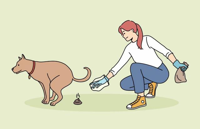 Obligacions de la tinença dels animals de companyia