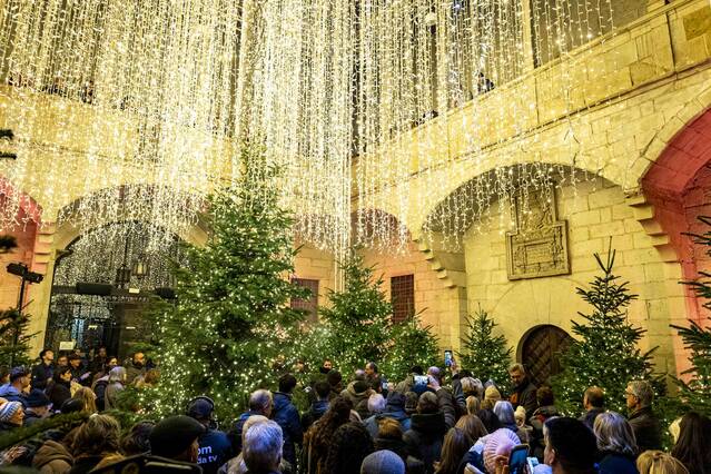 El Pati de l’IEI es transforma en ‘Un bosc de llum’ aquest Nadal, amb una cinquantena d’arbres, cinc bancs i uns 100.000 leds