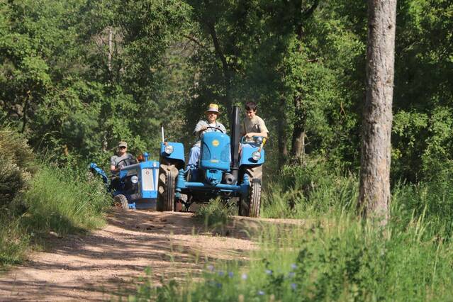 Els tractors d’època, un patrimoni viu del món rural